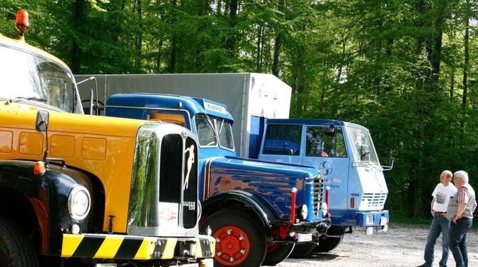 Alt,  aber  ganz  schön  fit: Die Sammler historischer Laster und Busse aus Deutschland, Österreich und der Schweiz legten teils