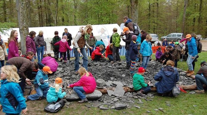Kommt bei Kindern immer gut an: Suche nach Versteinerungen beim Geoparkfest in Sonnenbühl. GEA-ARCHIVFOTO: HÄS