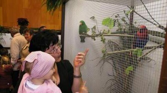 Generationenübergreifendes Interesse: Die Betzinger Vogelschau lockte am Wochenende zahlreiche Besucher an. FOTO: STÖRK