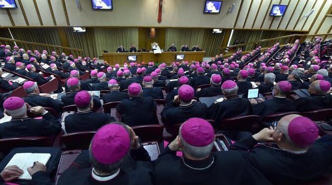 Bischöfe folgen einer Rede von Papst Franziskus während einer Konferenz im Vatikan. Foto: Ettore Ferrari