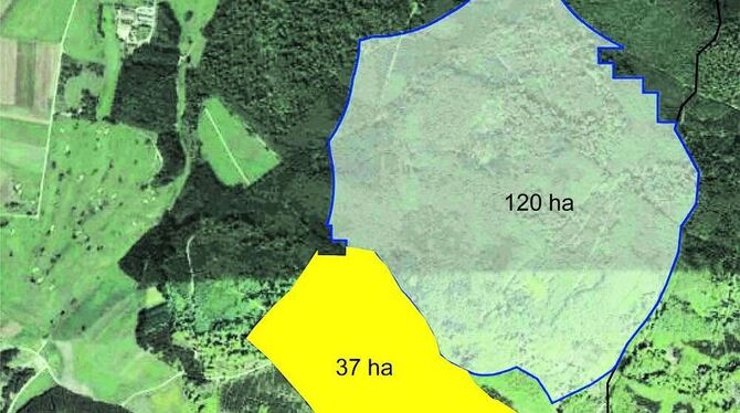 Die vorgesehene Windkraft-Konzentrationsfläche auf dem Hohfleck wird um 37 Hektar reduziert (gelbe Fläche). Damit fallen zwei de
