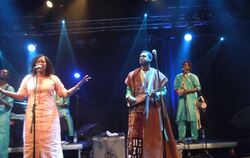 Bassekou Kouyaté & Ngoni Ba brachten afrikanische Klänge und Rhythmen ins franz.K. FOTO: SCHEITENBERGER