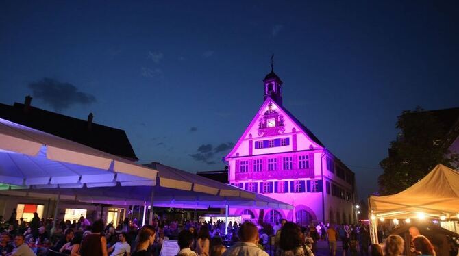 Auch das Alte Rathaus wird in Farblicht getaucht. FOTO: PR