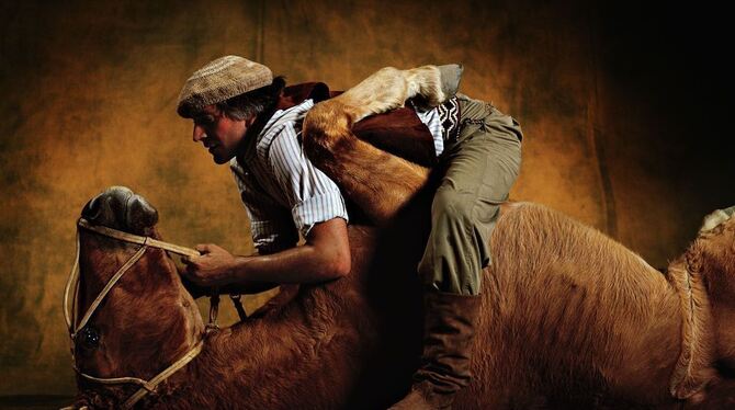 Die Beziehung Mensch-Pferd in all ihren Facetten hat Yann Arthus-Bertrand mit seiner Kamera festgehalten. FOTO: ARTHUS-BERTRAND