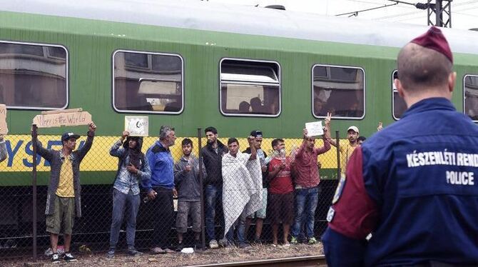 »Help us« und »Our children die in the train« steht auf den Schildern. Foto: Herbert P. Oczeret