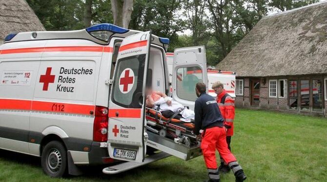 Über 150 Rettungskräfte waren im Einsatz, um die im Tagungszentrum herumtorkelnden Menschen in Krankenhäuser zu bringen.Foto: