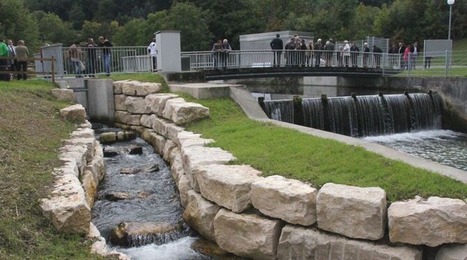 Beim neuen Wasserkraftwerk am Bad Uracher Diegele-Wehr gibt es auch eine Fischtreppe.