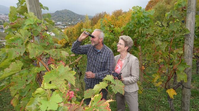 Barbara Bosch und Matthias Reusch, Hüter des städtischen Weinguts, sind mit der Qualität der Trauben zufrieden. GEA-FOTO: DÖRR