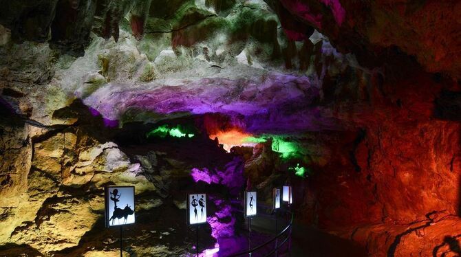 Die LED-Illumination der Bärenhöhle hat dieser Sonnenbühler Attraktion wie erhofft zusätzliche Besucher gebracht. ARCHIVFOTO: PR