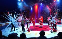 Ein buntes Programm: Beim Reutlinger Weihnachtszirkus gibt es nicht nur faszinierende Artistik, sondern auch unterhaltende Comed