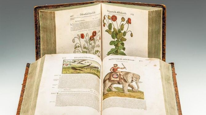 Ein schön illustriertes zweibändiges Medizinbuch aus dem Jahr 1568: Kostbarkeiten wie diese sind auf der Stuttgarter Antiquariat