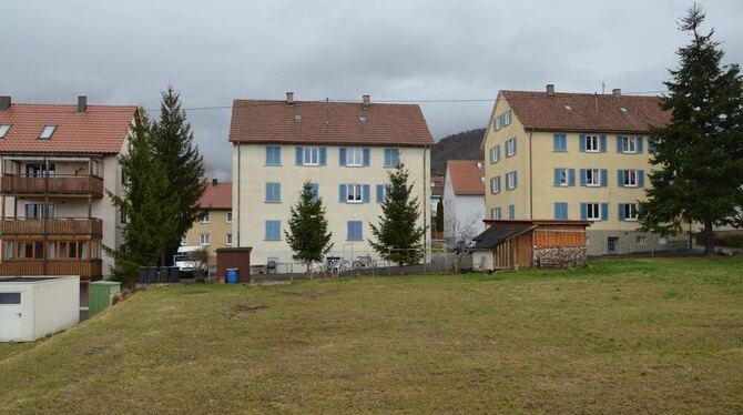 Ein Wohngebäude für 90 Menschen soll auf der Wiese hinter den beiden Mehrfamilienhäusern in der Achalmstraße, die im Besitz der