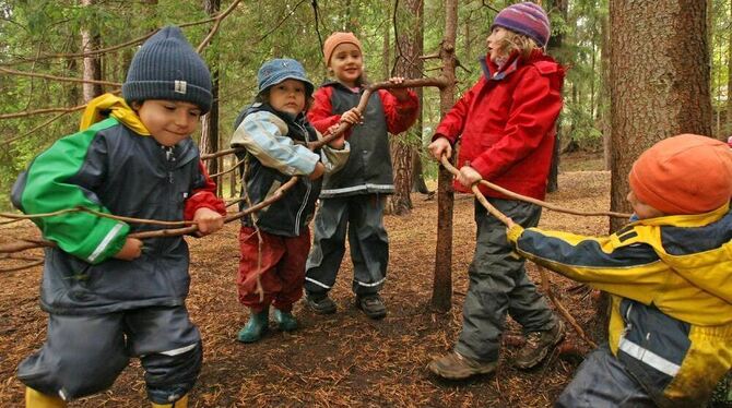 Bewegung an frischer Luft ist für Kinder in Waldkindergärten täglich angesagt. In Nehren würden zwei Erzieherinnen die Betreuung