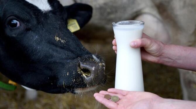 Die Milchbauern stöhnen: Für einen Liter Milch wird derzeit von den Molkereien 22 Cent bezahlt. Foto: Carsten Rehder