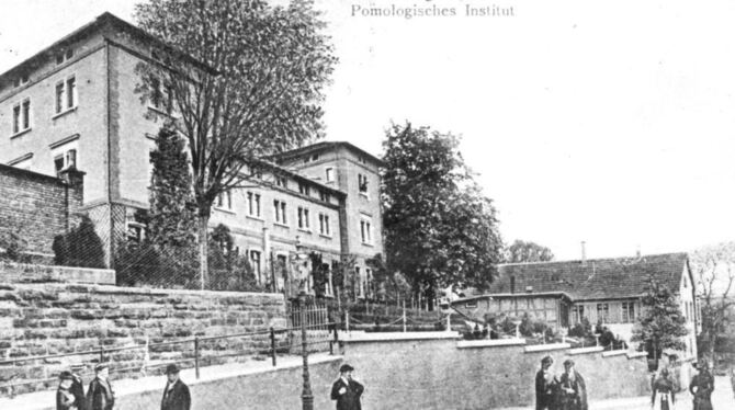 Das Pomologische Institut wenige Jahre nach seiner Gründung im Jahr 1860. GEA-ARCHIVFOTO