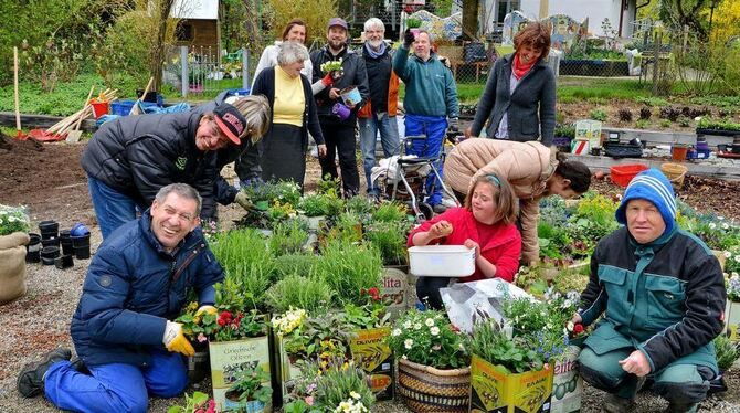 Baff-Aktive verschönern die Stadt. Baff-Aktive verschönern die Stadt.
