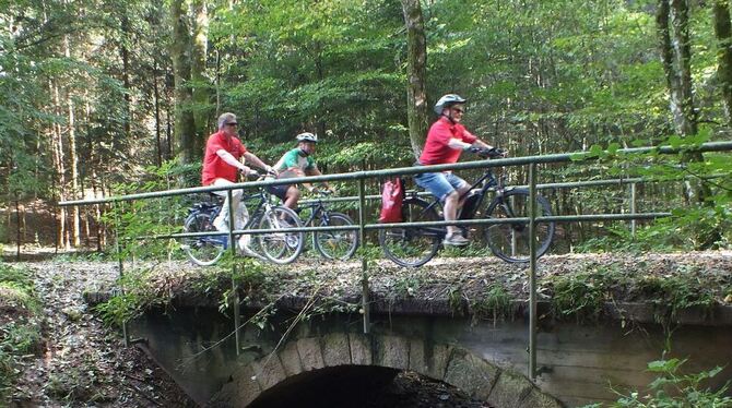 Erholung für Körper und Geist - beim Bikers Day durch den Naturpark Schönbuch radeln. GEA-ARCHIVFOTO: HEK