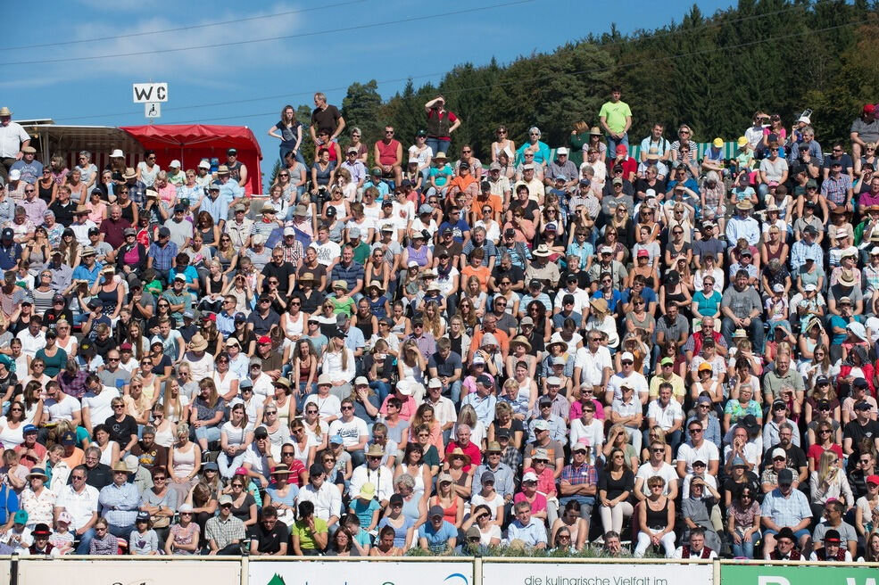Marbacher Hengstparade 2016