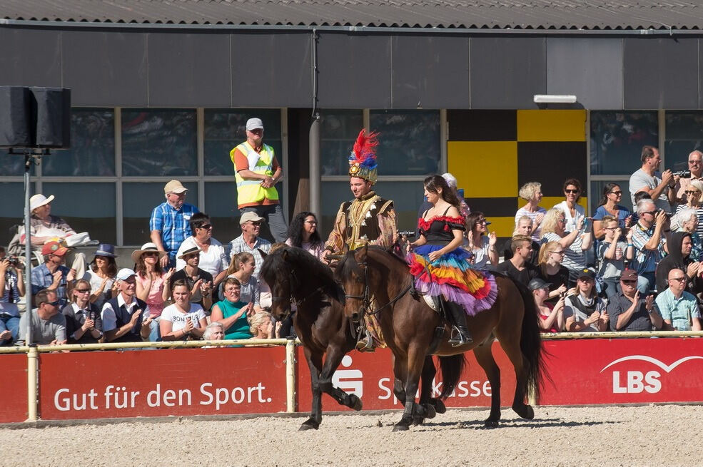 Marbacher Hengstparade 2016