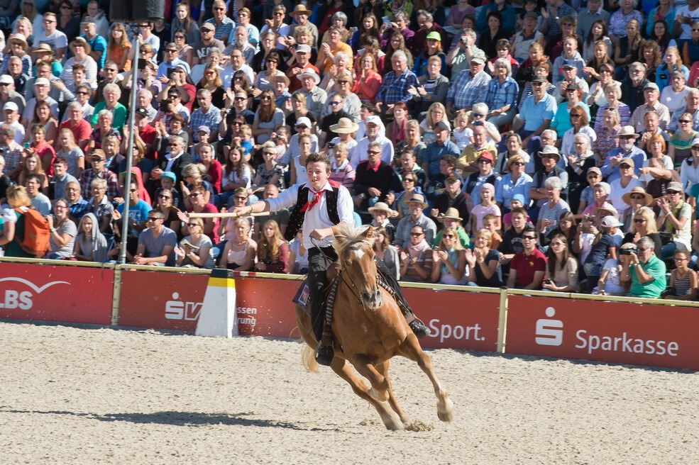 Marbacher Hengstparade 2016