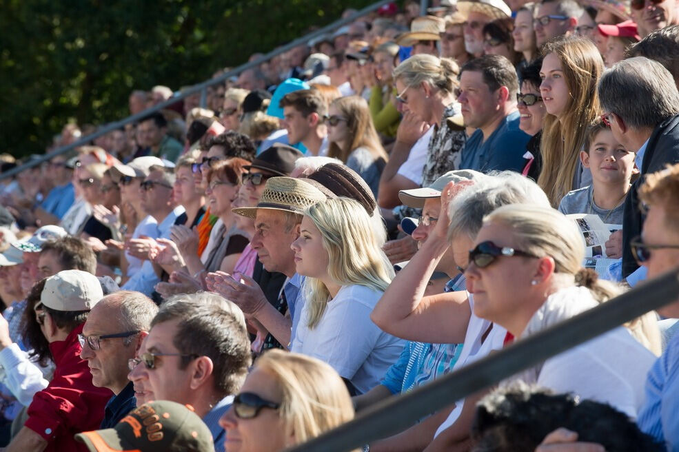 Marbacher Hengstparade 2016