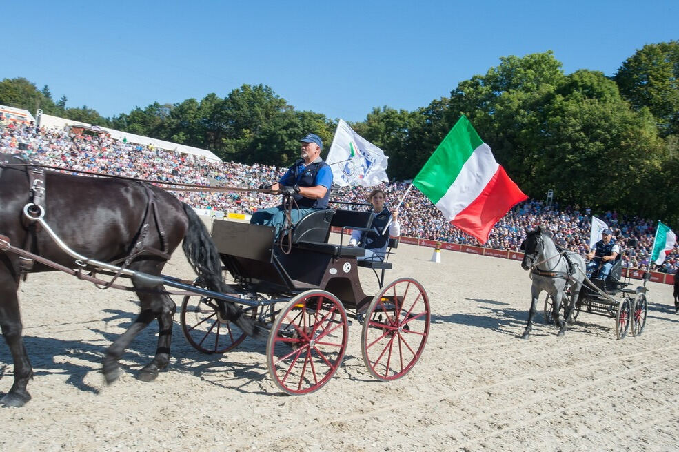 Marbacher Hengstparade 2016