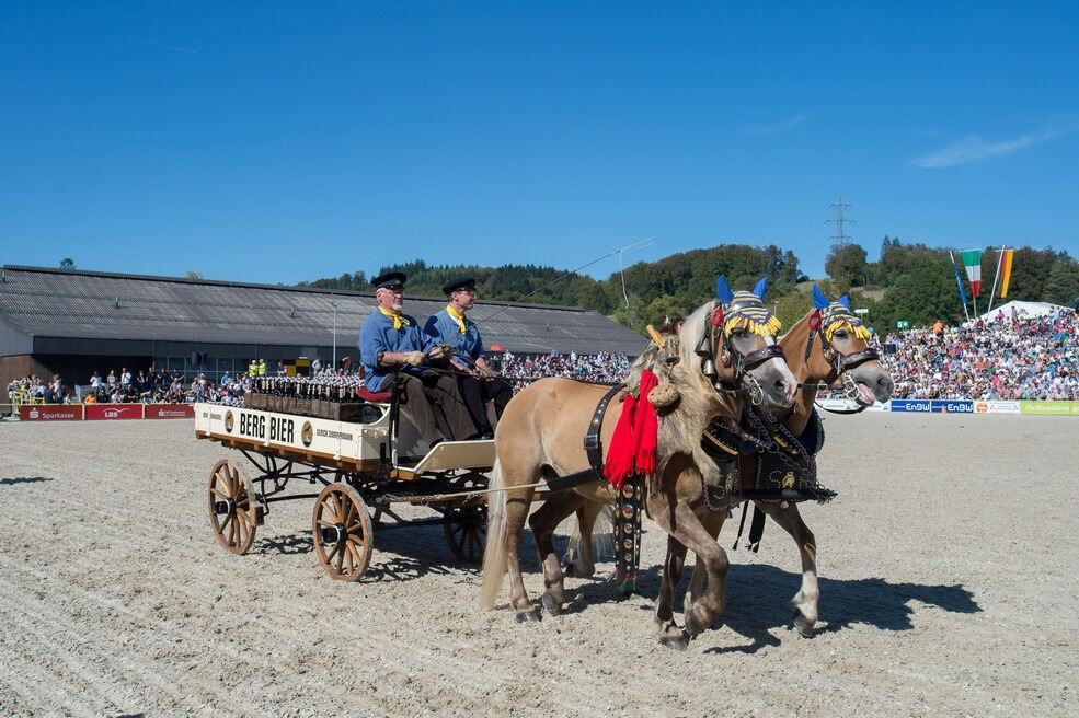 Marbacher Hengstparade 2016