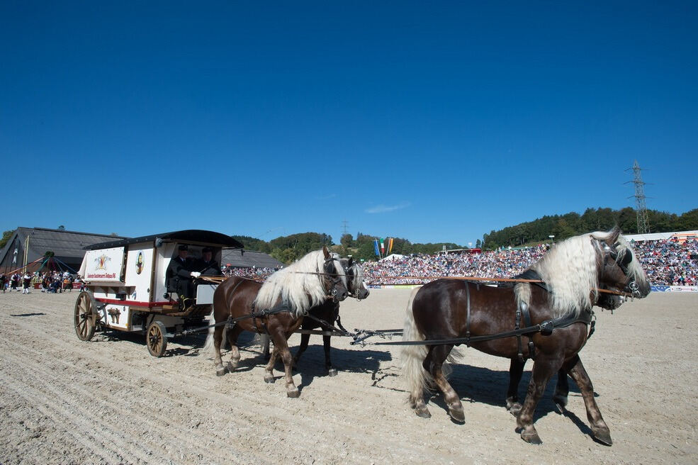 Marbacher Hengstparade 2016