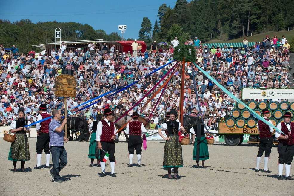 Marbacher Hengstparade 2016