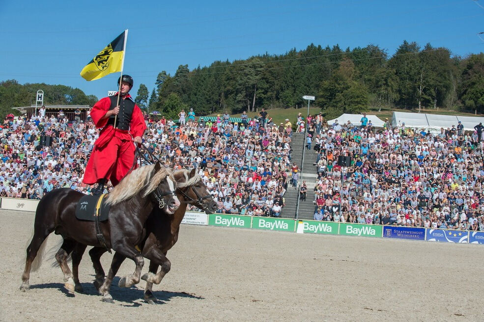 Marbacher Hengstparade 2016