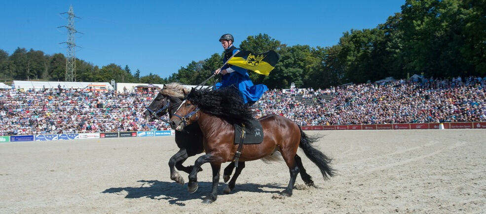 Marbacher Hengstparade 2016