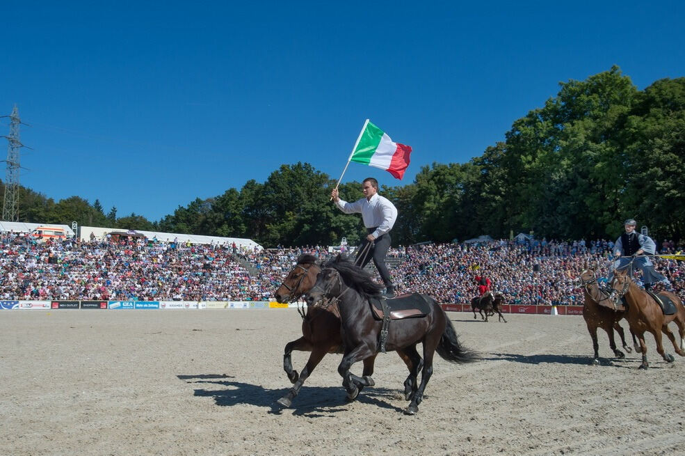 Marbacher Hengstparade 2016