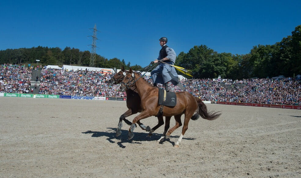 Marbacher Hengstparade 2016