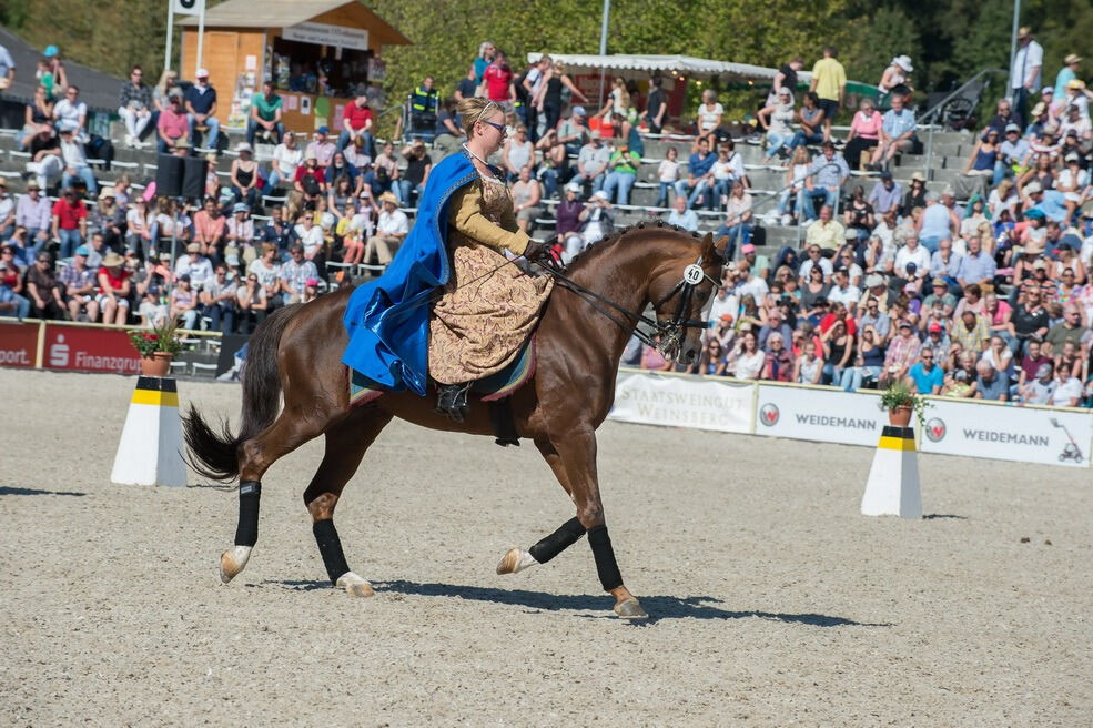 Marbacher Hengstparade 2016