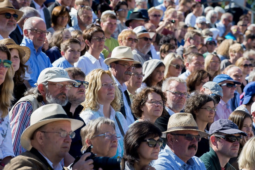 Marbacher Hengstparade 2016