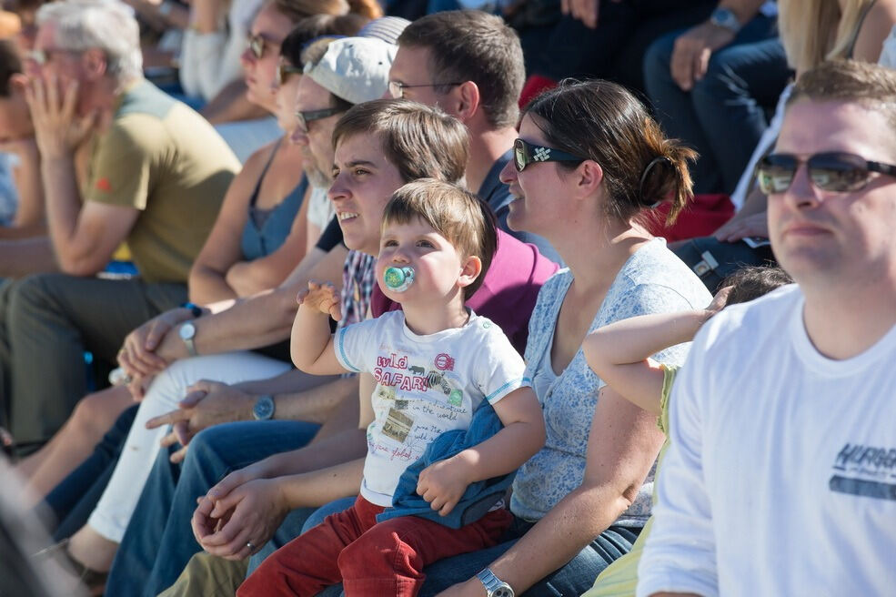 Marbacher Hengstparade 2016