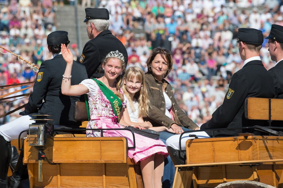 Marbacher Hengstparade 2016