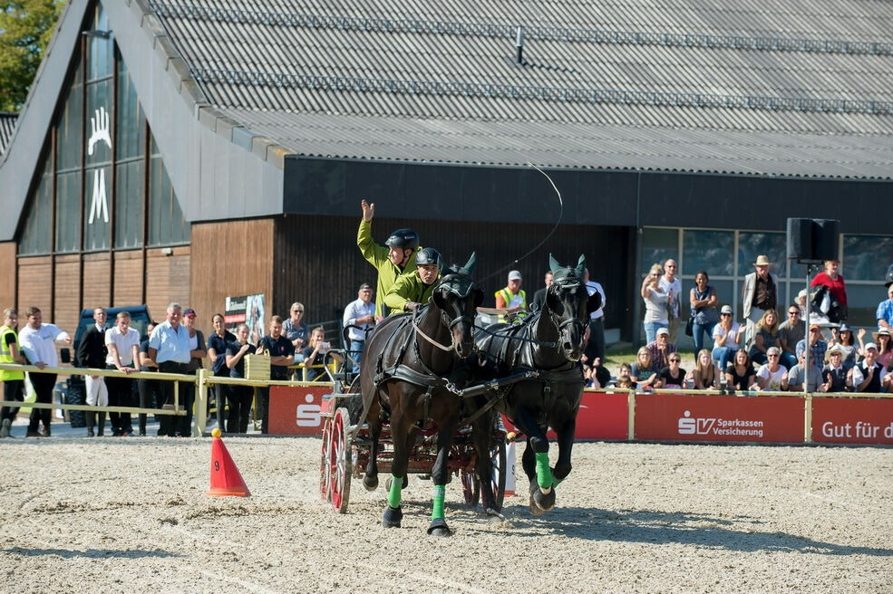 Marbacher Hengstparade 2016