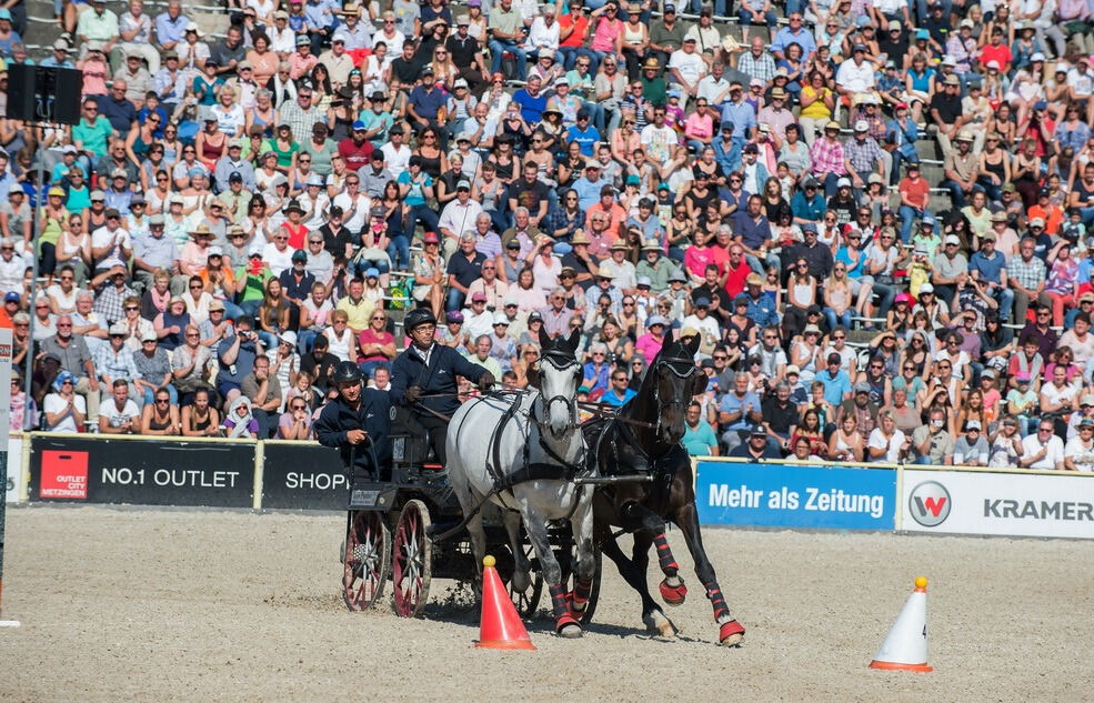 Marbacher Hengstparade 2016