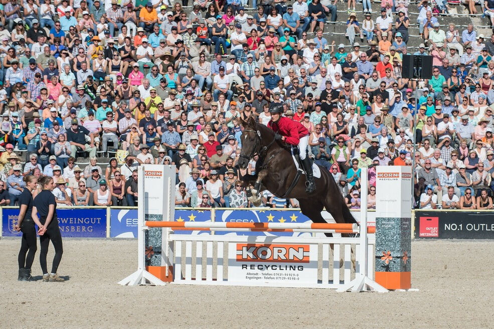 Marbacher Hengstparade 2016