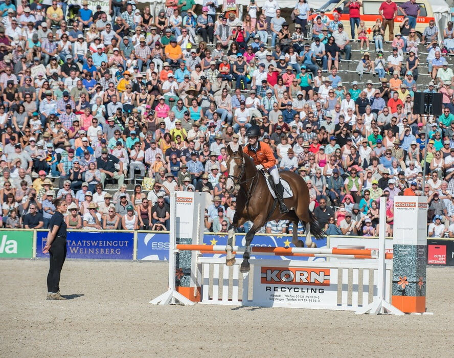 Marbacher Hengstparade 2016
