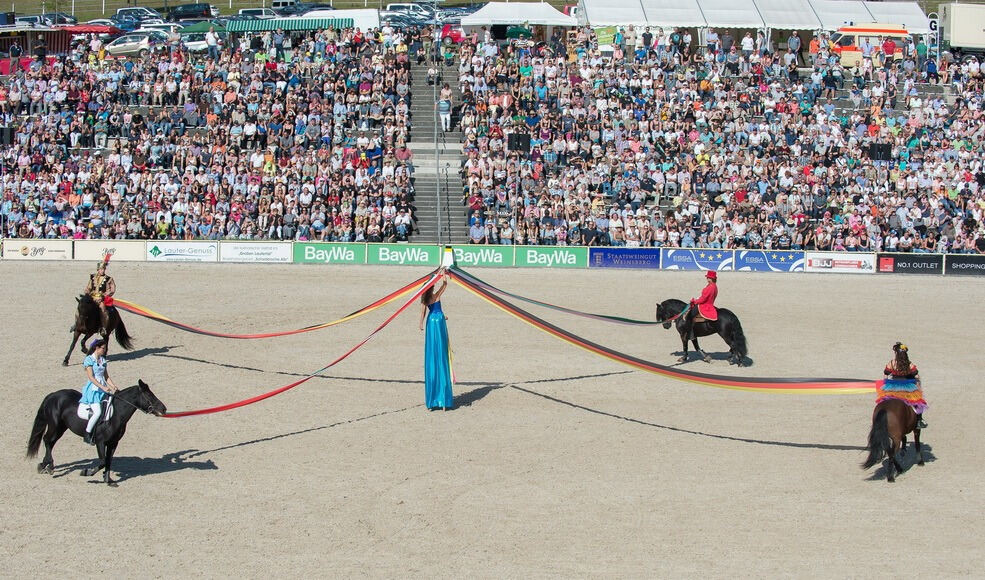 Marbacher Hengstparade 2016