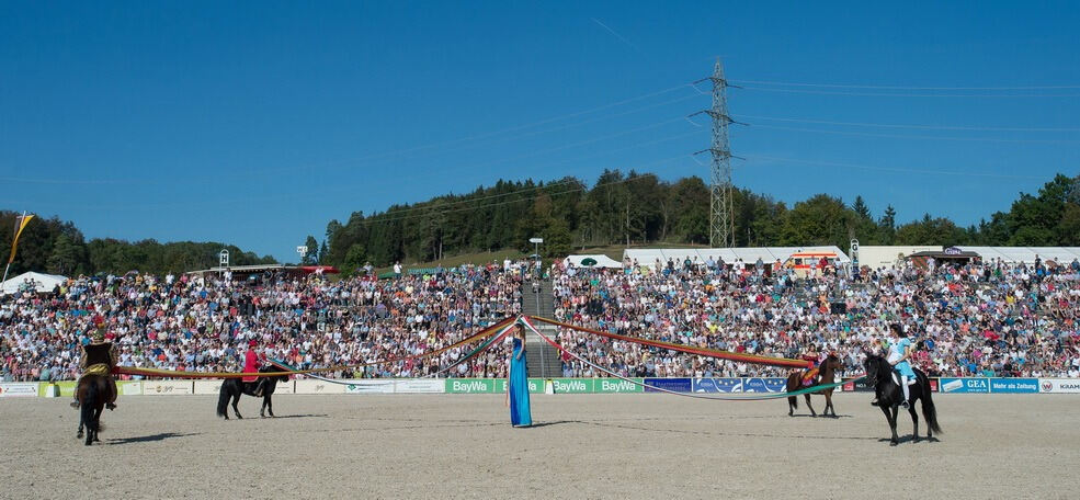 Marbacher Hengstparade 2016