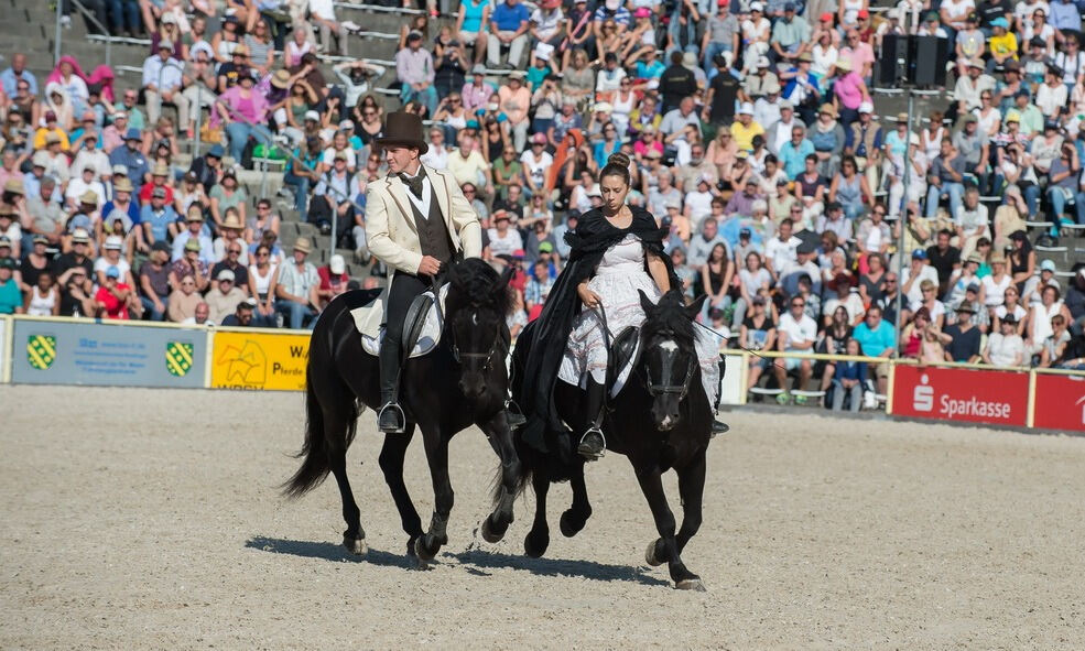 Marbacher Hengstparade 2016