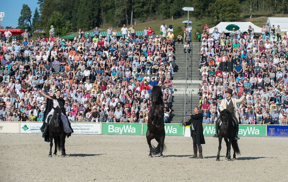 Marbacher Hengstparade 2016