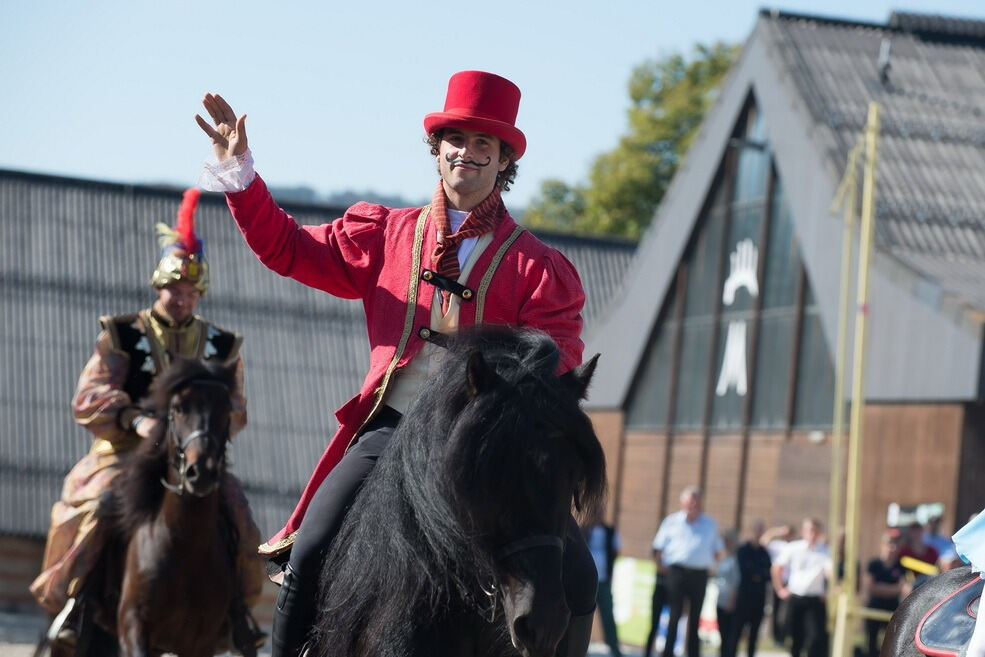 Marbacher Hengstparade 2016