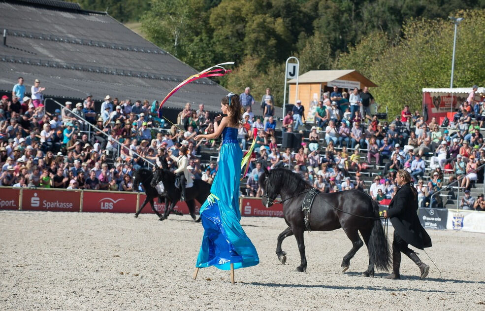 Marbacher Hengstparade 2016