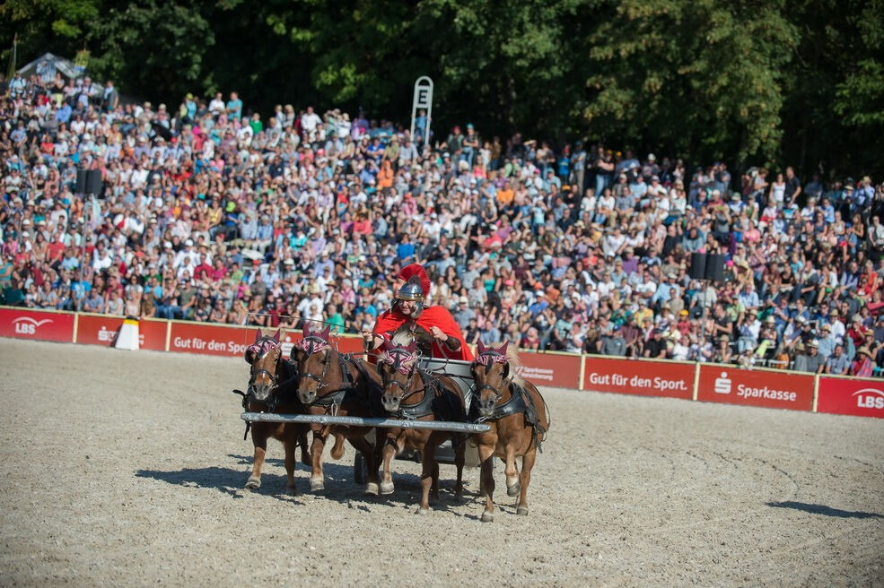 Marbacher Hengstparade 2016