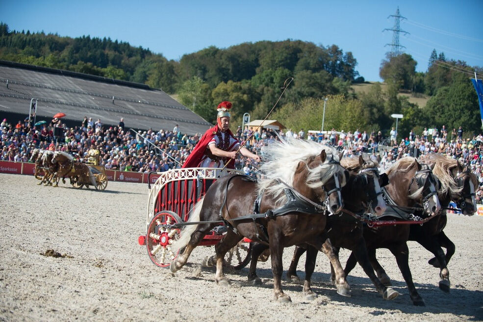 Marbacher Hengstparade 2016