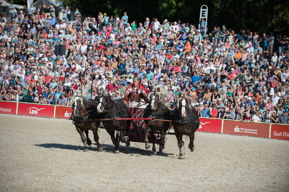 Marbacher Hengstparade 2016